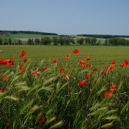 Logis Auberge De Crissay Екстериор снимка